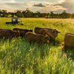 Southern Qld field days hears of upcoming legume resources + PHOTOS