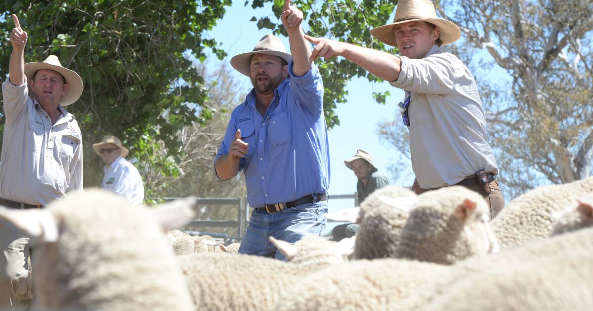 Confident again: Farmers lift spending plans after surprise summer