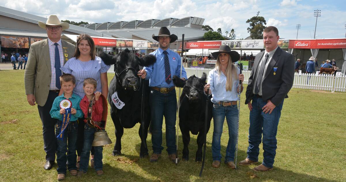 Hobbs Livestock's Simmental cow judged the best exhibit of the breed