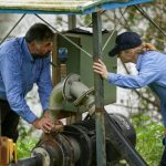 Junior judging showcased at Woolorama