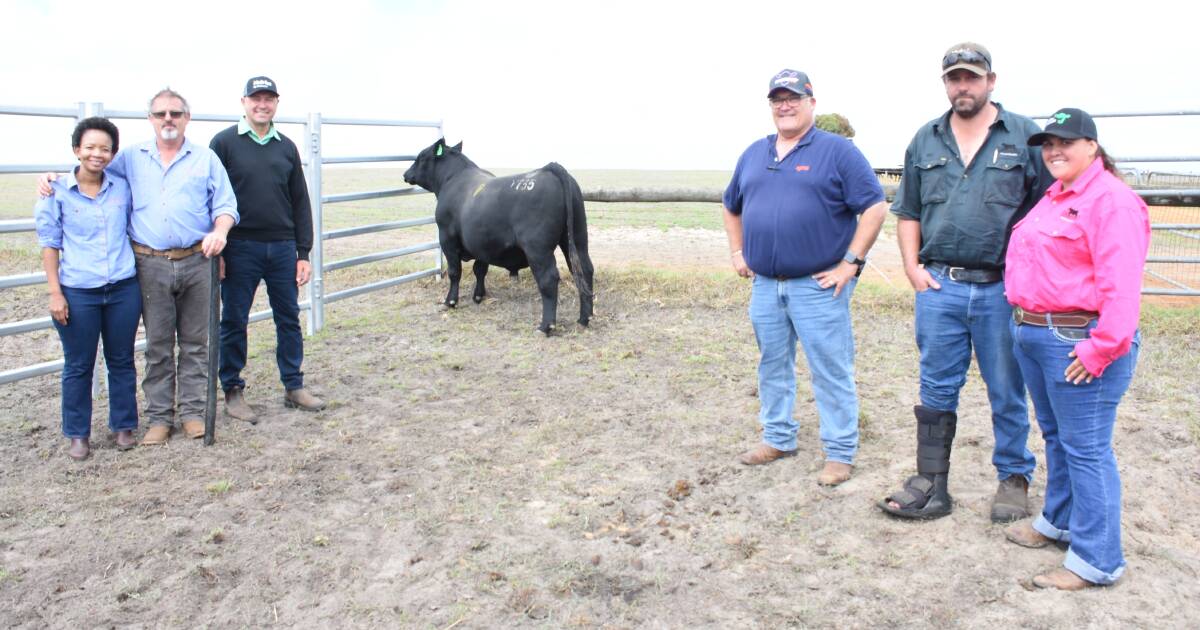 Bannitup bull tops sixth annual Esperance sale