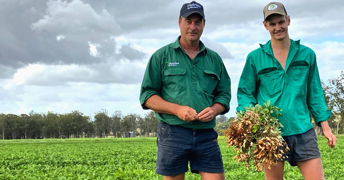 Hussey family find success with peanuts | North Queensland Register