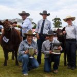 Bannitup bull tops sixth annual Esperance sale