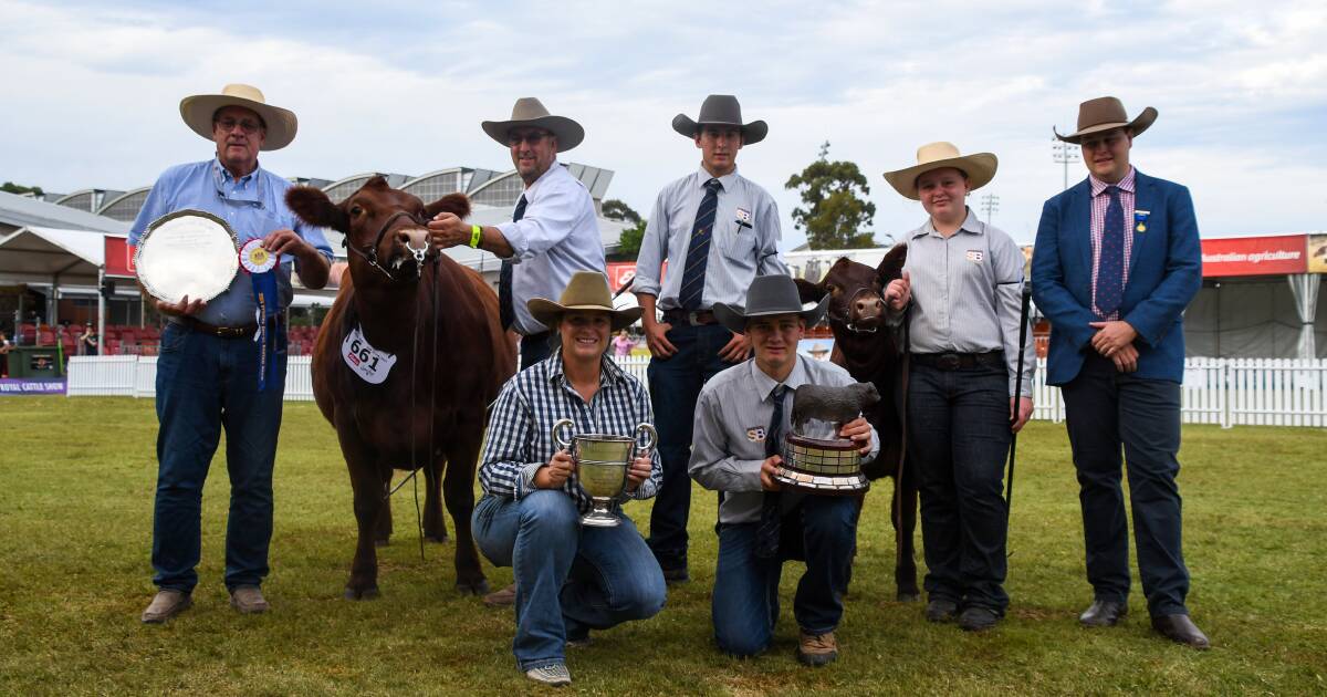 Nagol Park wins back-to-back grand champion female at Sydney Royal | The Land