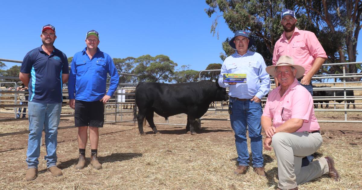 Quality pushes Carenda Angus to $13,500