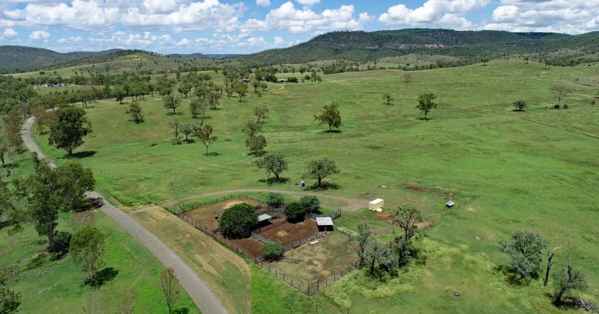 The Cedars developed for 350 breeders, even in drier seasons | Video