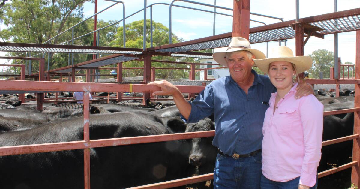 Vendors and agents very happy with result Stanthorpe weaner sale