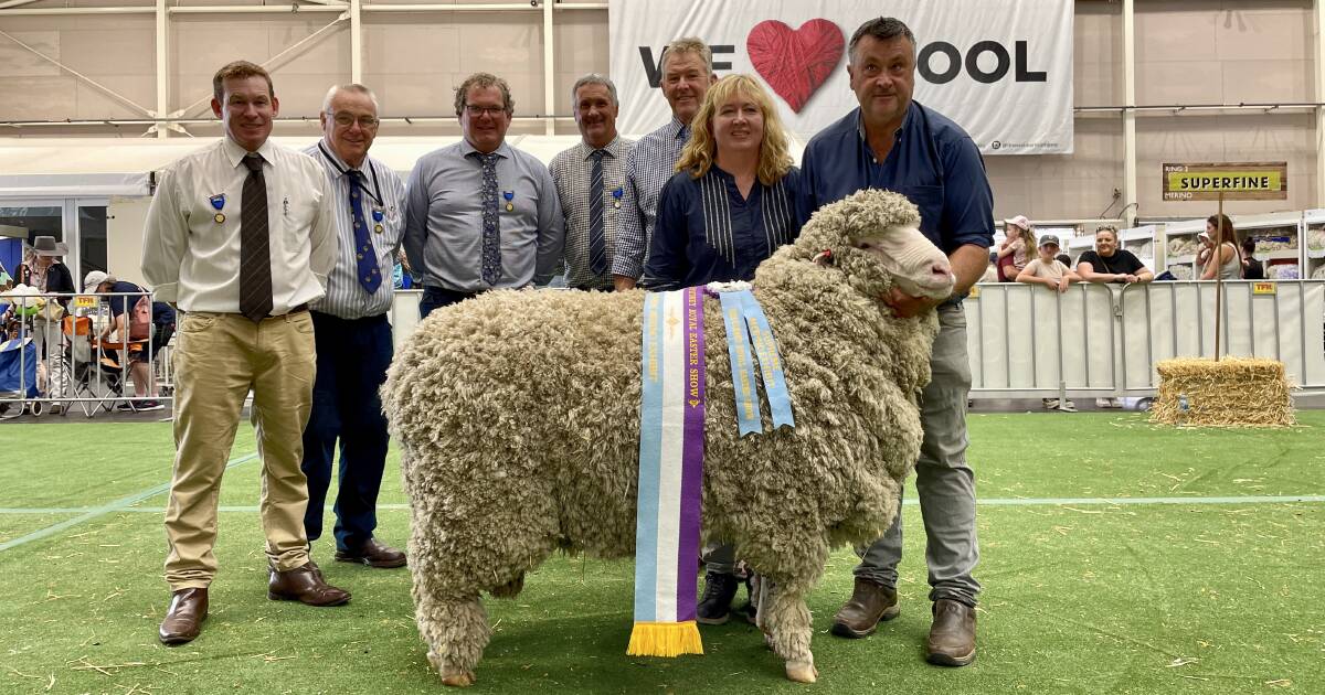 Supreme Merino exhibit to West Plains ram; Thalabah claims supreme ewe at Sydney