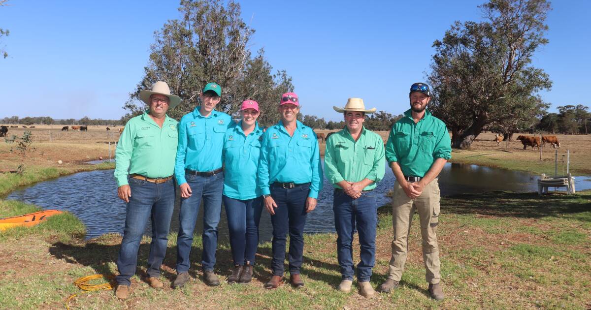 Four bulls achieved the $8000 top price at the Nextgen Simmental sale last week. | Farm Weekly