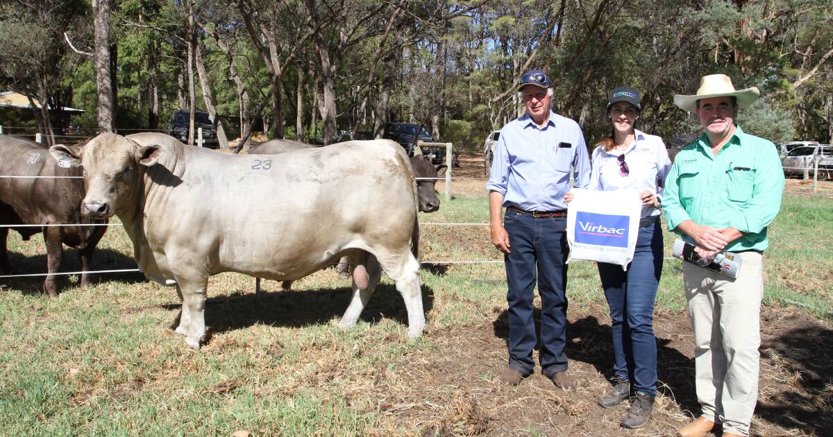 Murray Grey bull tops 32nd Monterey Murray Grey and Angus sale at $25,000. | Farm Weekly