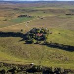 Feedlots compete strongly at Wodonga autumn cattle sale