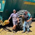 Flemington Angus the best exhibit, Tattykeel takes grand champion bull at Sydney Royal