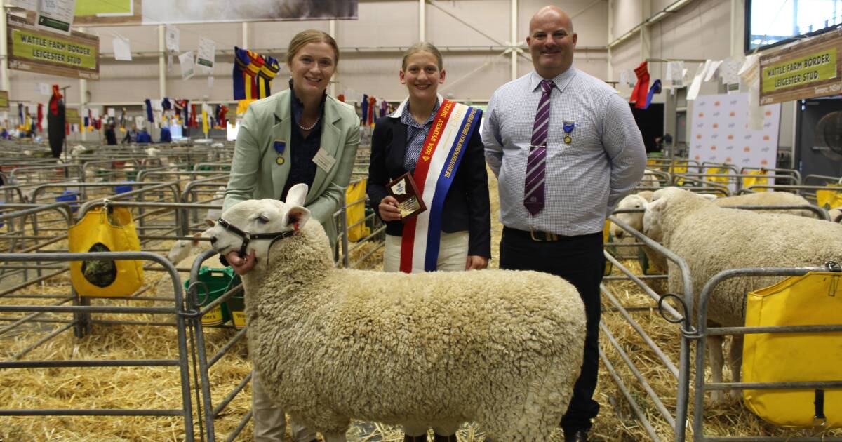 Cobbity entrant wins meat sheep youth judging final