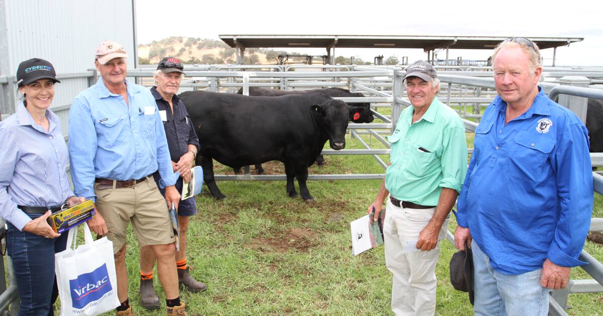 Sheron Farm Quarterback T36 tops the Benger sale at $9000. | Farm Weekly