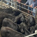 Farmer Field Day is on this Friday at Manjimup