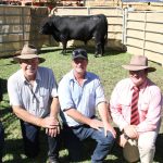 2024 cotton harvest underway with forecasts of 4.5 million bales | Queensland Country Life