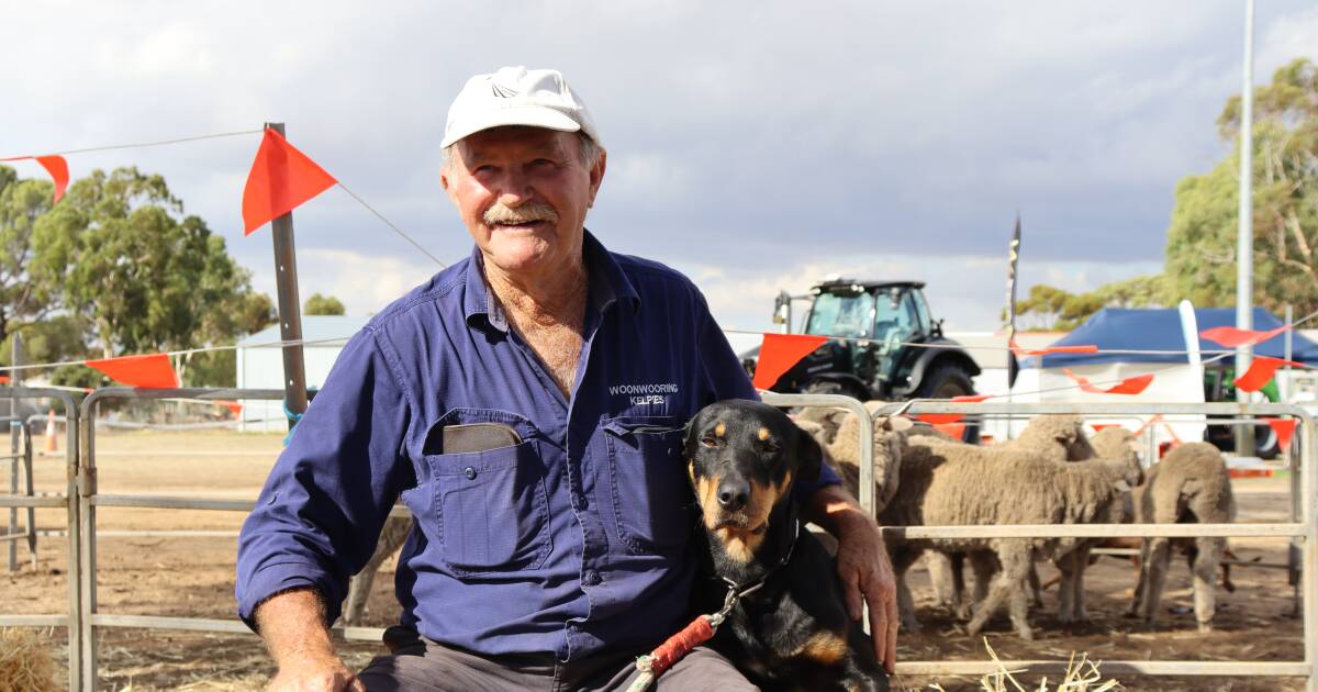 40 years of breeding working dogs