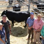 Queensland Ag Show Awards 2024 winners announced | Queensland Country Life