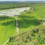 Farming for feed security is a lesson dairy farmers can teach beef producers