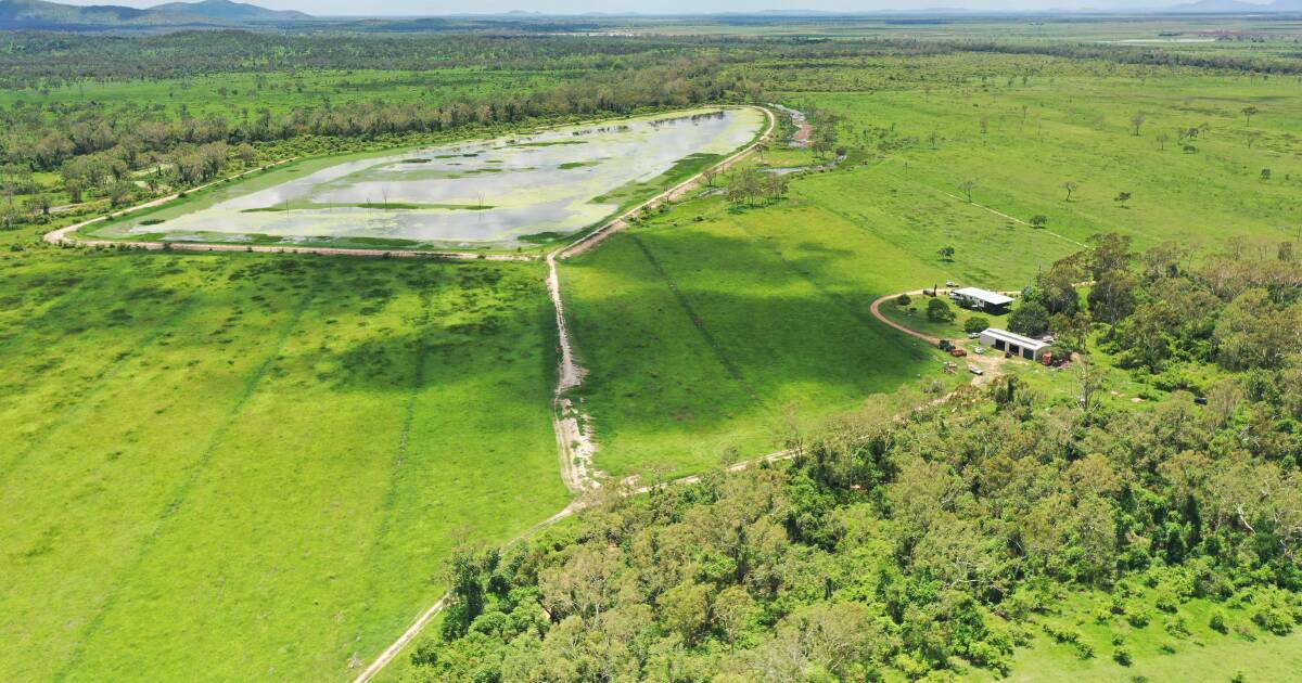 North Queensland grazing and hay making opportunity