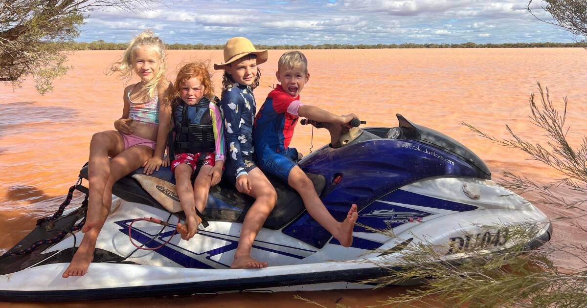 Pastoralist embraces latest drenching in Meekatharra