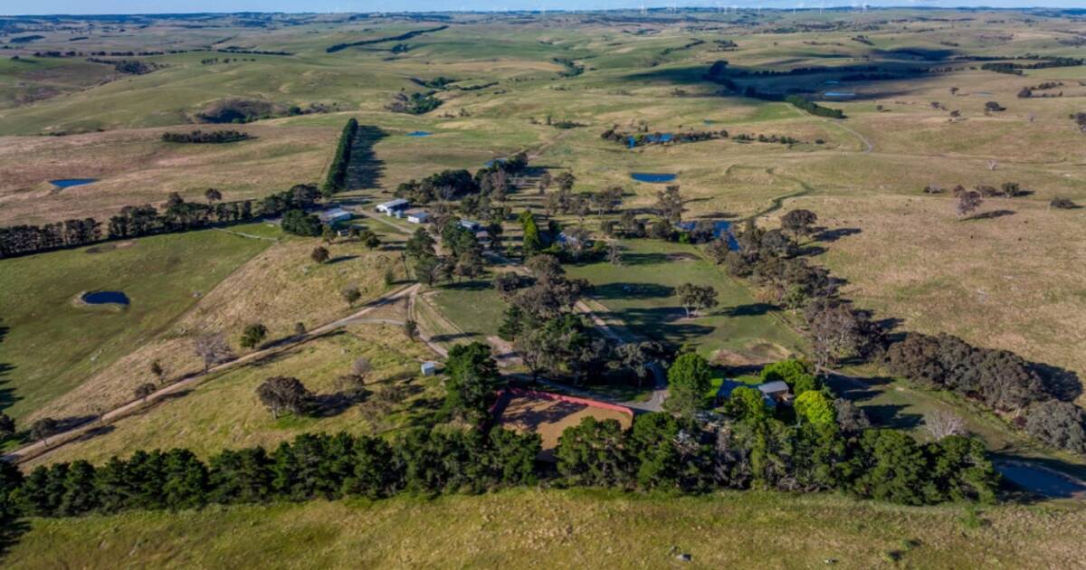 Highly productive Goulburn grazing operation on market | Video