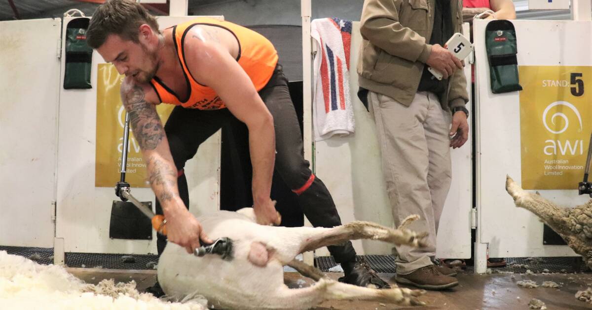 Four world shearing records on the line