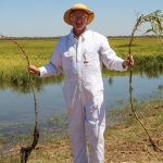 Five years after 2019 flood, north west graziers have rebuilt herds