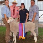 Kolindale reigns supreme in Woolorama wool shed | Farm Weekly