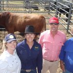 Gloucester yards 1014 in special female sale, cows top at $2775