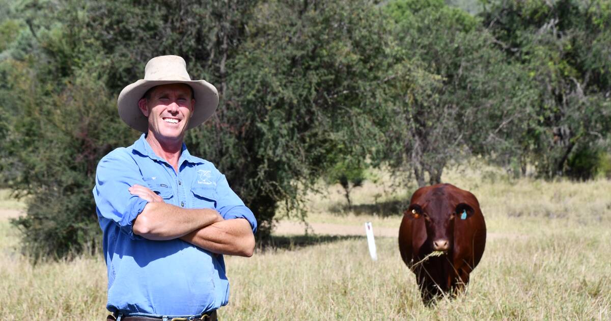 Natural capital goes beyond carbon trading | Queensland Country Life