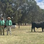 Competition at Laidley