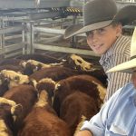 Texel Breed Shines at Wagin Woolorama | Farm Weekly