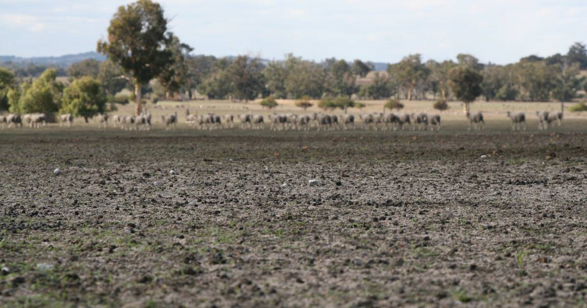 Water deficiencies across Southeast coastal regions | Farm Weekly