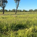 Cyclone Megan battering NT coast