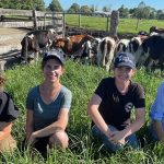 Farming for feed security is a lesson dairy farmers can teach beef producers