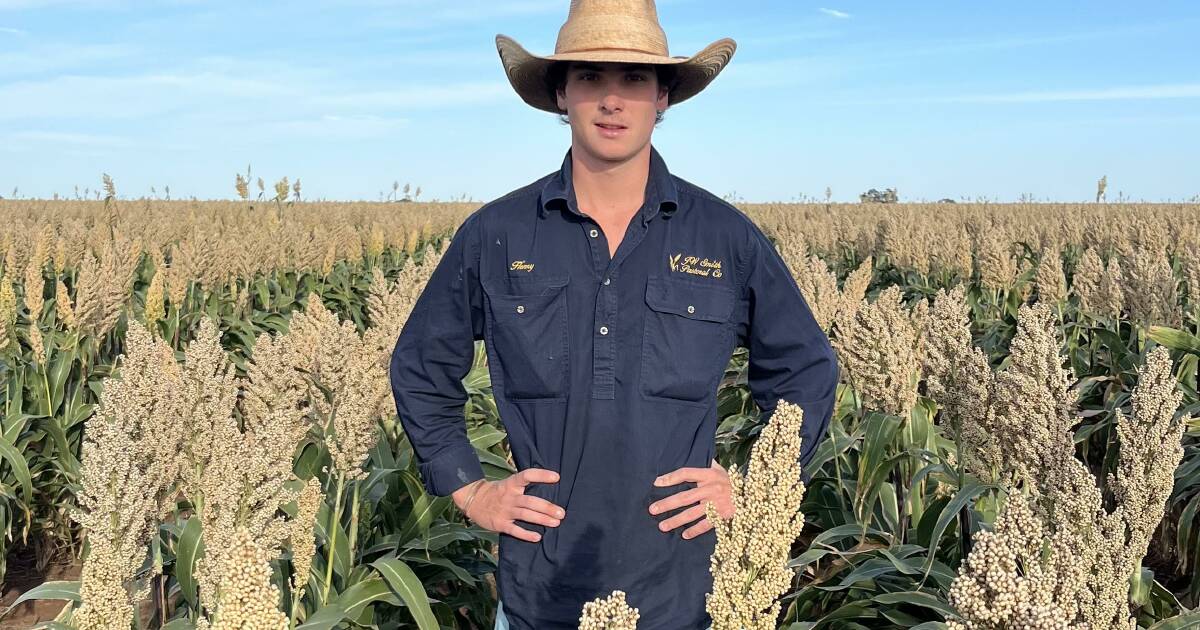 Henry's takeaway message from QRDC grains update