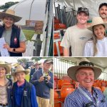 Steers and heifers sell to dearer trend at Carcoar Blue Ribbon Weaner sale