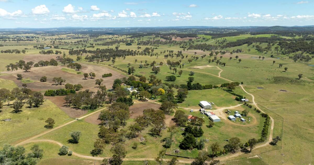 Glenmorgan built for maximised beef production | Video