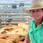 Keeping their type ensures Merino productivity at Boorowa