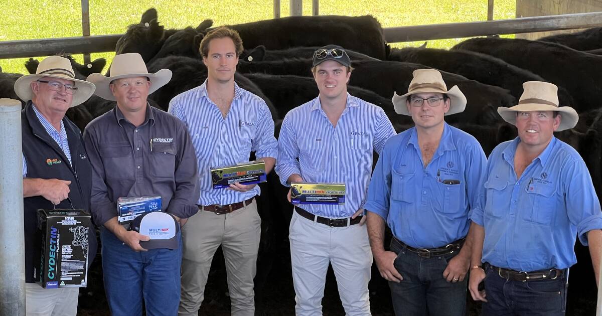 Weight pays the premium at Armidale weaner sale