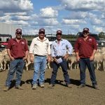 Rain and thunderstorms forecast for WA regions | Farm Weekly