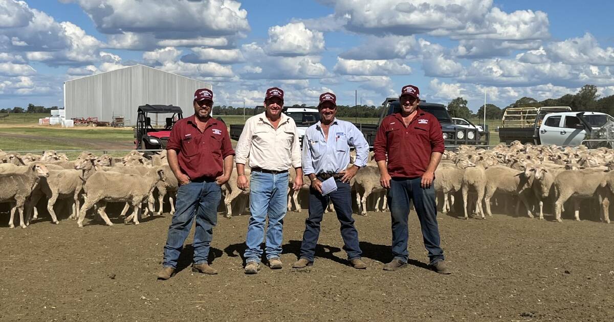 Parkdale SRS Poll Merino stud ewes sell as far as Western Australia