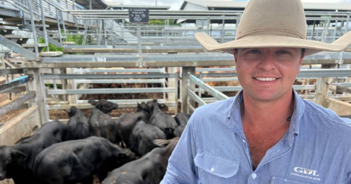 Prices strengthen at Gracemere