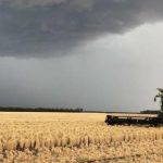 Vital east-west highway and rail line cut by outback floods