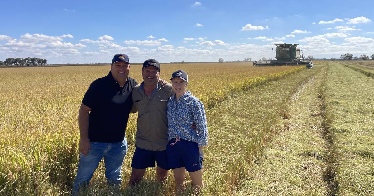 Passion for rice at Willbriggie