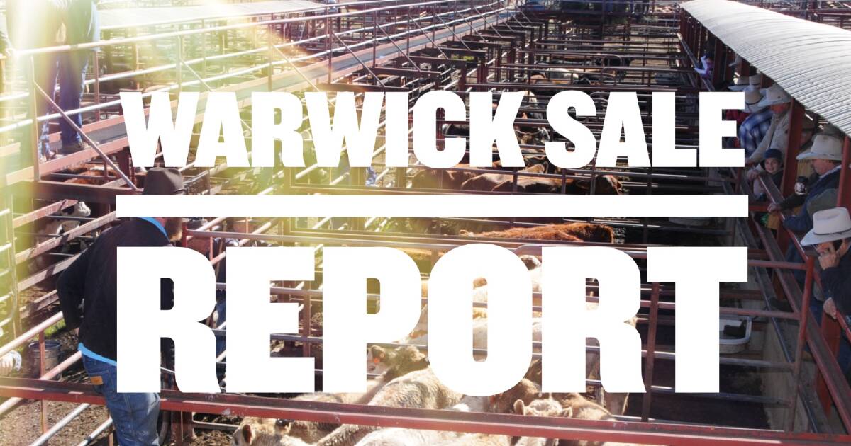 Warwick inaugural weaner sale gets results