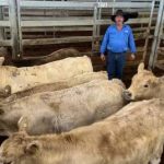 Beef producers call for export-accredited abattoir in Peel region | Farm Weekly