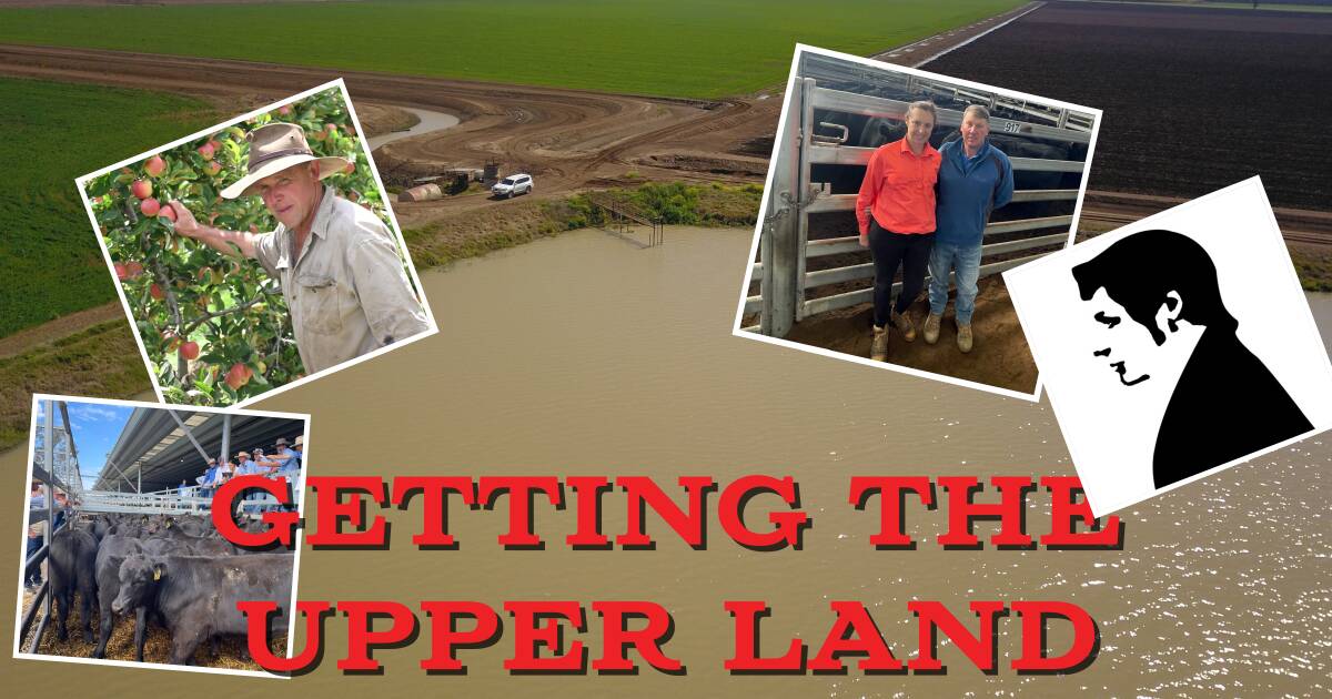 Weaner sales, water value and soil health feature in Getting The Upper Land