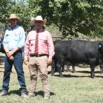 Record export numbers leave graziers 'ecstatic'